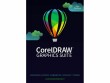 Corel DRAW Graphics Suite - Abonnement (renouvellement) (1 an)