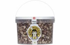 Maya Popcorn Popcorn Choco Family 295 g, Produkttyp: Popcorn