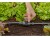 Bild 2 Gardena Absperrventil Micro-Drip-System 13 mm (1/2")