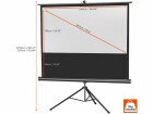 Celexon Eco Stativ 16:9 244x138cm, Leinwand,