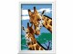 Ravensburger Malset CreArt: Cute Giraffes, Altersempfehlung ab: 7