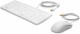 HP Inc. HP Tastatur-Maus-Set USB Healthcare Edition 1VD81AA CH