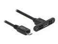 DeLock USB 2.0-Kabel Micro-USB B - Micro-USB B 1