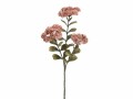 Botanic-Haus Kunstblume Sedumzweig 3-er Set, 57 cm, Produkttyp