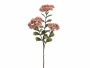 Botanic-Haus Kunstblume Sedumzweig 3-er Set, 57 cm, Produkttyp