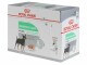 Royal Canin Nassfutter Care Nutrition Digestive Mousse, 12 x 85g