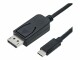 Roline Adapterkabel 1.0m USB Typ C-DP