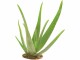 Glorex Glycerinseife Öko mit Aloe Vera 500 g, Transparent