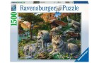 Ravensburger Puzzle Wolfsrudel im Frühlingserwachen, Motiv: Tiere