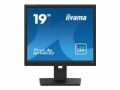 iiyama Monitor Prolite B1980D-B5 19 ", Bildschirmdiagonale: 19 "