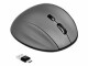 DeLock Maus 12016 Bluetooth, Maus-Typ: Ergonomisch, Maus Features