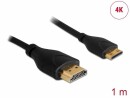 DeLock Kabel 4K 30Hz HDMI - Mini-HDMI (HDMI-C), 1