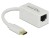 Bild 4 DeLock Netzwerk-Adapter USB-C - RJ45 1Gbps, Weiss