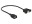 Image 1 DeLock USB2.0-Kabel A-A: Buchse-Buchse, 0.25m, zum