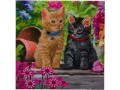 CRAFT Buddy Bastelset Crystal Art Card Cat Friends, Altersempfehlung