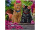 CRAFT Buddy Bastelset Crystal Art Card Cat Friends, Altersempfehlung
