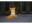 Bild 3 Konstsmide LED-Figur Acryl Fuchs, 27 cm, Betriebsart: Netzbetrieb