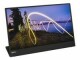 Lenovo ThinkVision M15 Touch, 15.6", FHD
