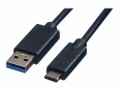 ROLINE GREEN - USB-Kabel - USB Typ A (M) zu