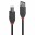 Image 2 LINDY 10m USB 2.0 Type A/B Cable Anthra