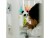 Bild 5 fehn Kinderwagenkette DoBabyDoo Panda, Material: Softvelour