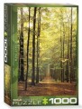 Eurographics Forest Path