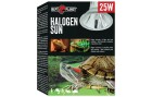 Repti Planet Terrarienlampe Halogen Spot 25 W, Lampensockel: E27