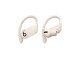 Image 0 beats by dr.dre Beats Powerbeats Pro - True wireless earphones with mic