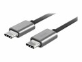 Artwizz - USB-Kabel - USB-C (M) zu USB-C (M) - USB 2.0 - 2 m - Titan