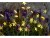 Bild 0 Sirius LED Lichterkette Angel Hair Trille 1 m Stern