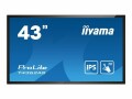 IIYAMA DS T4362AS 108cm TOUCH 43"/3840x2160/3xHDMI