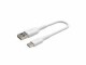 Image 4 BELKIN USB-C/USB-A CABLE PVC 15CM WHITE