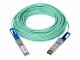 NETGEAR Direct Attach Kabel AXC7620-10000S SFP+/SFP+ 20 m, Kabeltyp