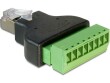 DeLock Delock Adapter RJ45 Stecker > Terminalblock