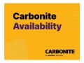 CARBONITE Availability Virtual Edition - Wartung (Erneuerung) (1