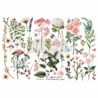 Redesign Decor Transferfolie - Botanical Paradise