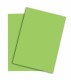 PAPYRUS   Rainbow Papier FSC          A4 - 88043112  120g, grün           250 Blatt