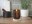 Bild 2 Woodwick Duftkerze Lavender & Cypress ReNew Large Jar, Bewusste
