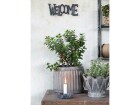 Chic Antique Wandschild «Welcome» 23.5 cm, antik Grau, Detailfarbe: Grau