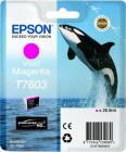 Epson Tinte - C13T76034010 Magenta