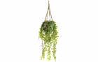 Dekomat AG Kunstpflanze im Tontopf 80 cm, Produkttyp: Topfpflanze
