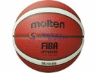 Molten Basketball BG4500