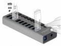 DeLock USB-Hub 63670 10x USB-A, Stromversorgung: Netzteil, Anzahl