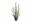 Bild 0 Botanic-Haus Kunstpflanze Eukalyptus 58 cm, Produkttyp: Topfpflanze