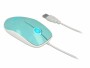 DeLock Maus 12538 USB-Typ-A LED türkis, Maus-Typ: Standard