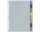 DURABLE Register A4 Mehrfarbig, Einteilung: 8 Farben, Überbreite