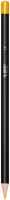 BIC       BIC Farbstifte Intensity 967823 ass. 24 Stück 