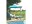 Bild 3 Vivere Liegestuhl Dream Lounger True Turquoise, Gewicht: 20.5 kg