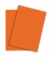 PAPYRUS   Rainbow Papier FSC          A4 - 88043131  intensivorange, 160g 250 Blatt