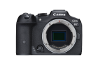 Canon Kamera EOS R7 Body & Lens Adapter